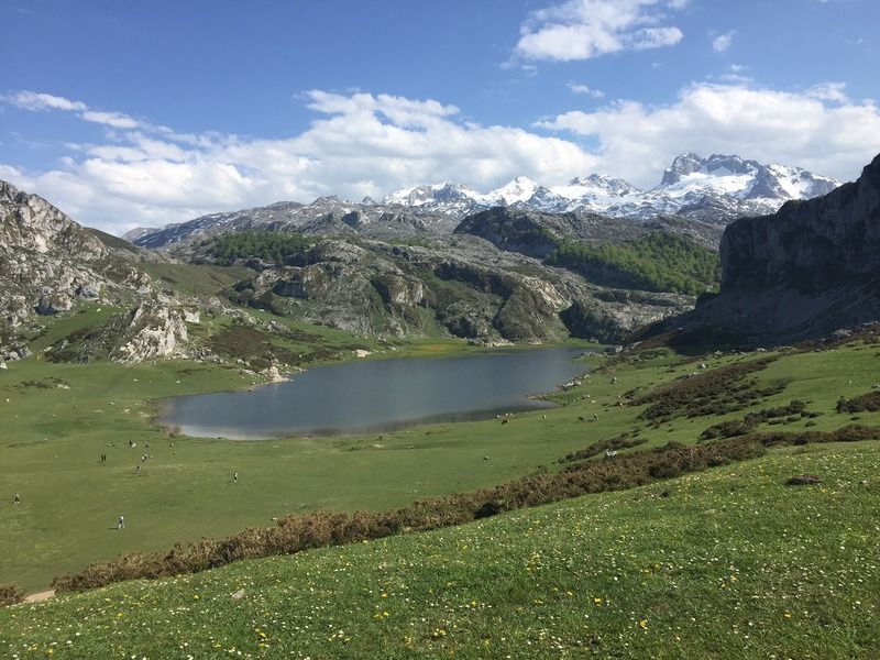 Arcea Gran Hotel Pelayo Covadonga Kültér fotó